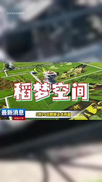 沈阳稻梦空间能免费入园了,左下角赶紧抢! #稻梦空间#夏赏稻田冬玩雪#沈阳乡村游玩天花板#跟着东北超游东北