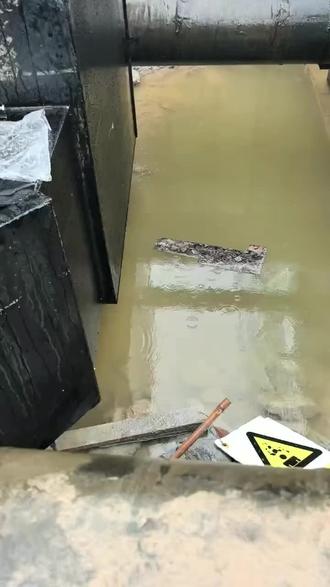 怎么长大就不一样了。#积水深度 #路面积水