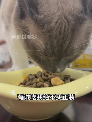 有试吃我绝不买正装,还是山东汉欧大厂的#猫粮 #猫粮推荐 #猫粮试吃 #whycat猫粮 #新手养宠