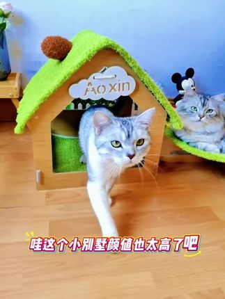 猫咪太喜欢这种半封闭空间,属于猫咪自己的幸福城堡#猫窝#宠物用品#萌宠好物#新手养猫