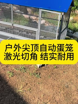 激光切角 结实耐用 收蛋笼 喜欢高品质的可以入手了#鸡笼#蛋笼
