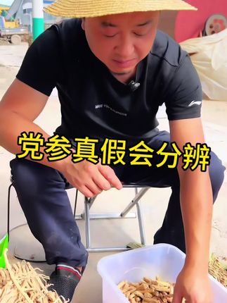#上热门 #党参#优质农产品 #党参真假辨别 你会区分吗?