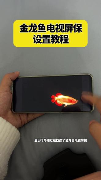 《空白爱玩》金龙鱼电视屏保设置教程来了,电视养鱼教程,金龙鱼动态壁纸下载,电视机屏保龙鱼程,金龙鱼电视屏保设置方法,电视金龙鱼屏保去哪里下载设置,#电视养鱼教程#电视屏保#电视屏保设置#金龙鱼屏保怎么设置#金龙鱼屏保怎么下载