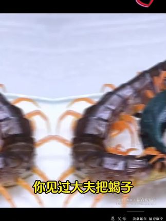 #中医 #传承中医文化 #老祖宗的智慧