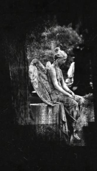 恒河水,我的泪
#shiva#夜行灯花宵 #剪辑教程#小说剪辑#小说推荐#湿婆