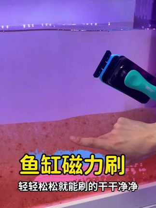 家人们,鱼缸磁力刷太好用了!一内一外吸附在缸壁,手不用沾水,转着圈就能把玻璃擦得锃亮,青苔、水垢轻松搞定。强磁设计不易脱落,大小鱼缸都能用,边角也能清洁到。有了它,刷缸不费力,鱼缸时刻透亮,养鱼更舒心,赶紧安排上 #鱼缸除藻 #清洁神器 #养鱼 #无限回购的宝藏单品 #在抖音入手的好东西