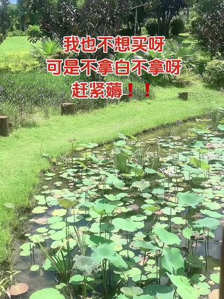 120瓦超级快充,一人领一回