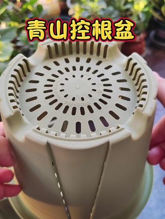 #控根盆 #青山控根盆 #透气花盆 #爱生活爱养花 #花卉绿植