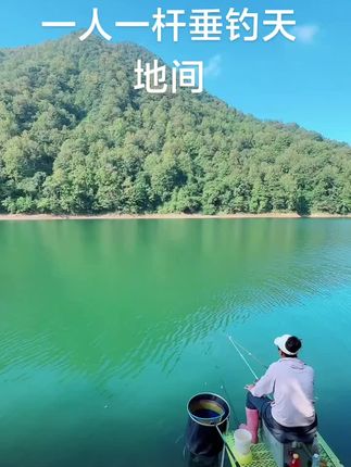 野外垂钓#垂钓 #原创视频 #山水美景 #户外运动 #户外生活