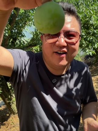 #巫山脆李 一定要吃大果和果王