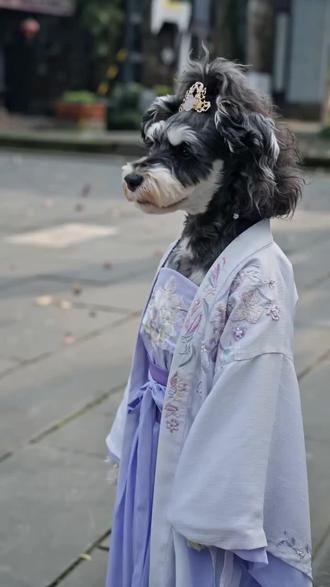 这年头也是看到自己家狗狗演宫斗了#AI古风郡主冲突 #抖音ai创作 #柯基 @抖音小助手 @抖音创作小助手