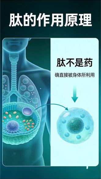 肽对身体的好处你不知道吧#山西吕梁柳林