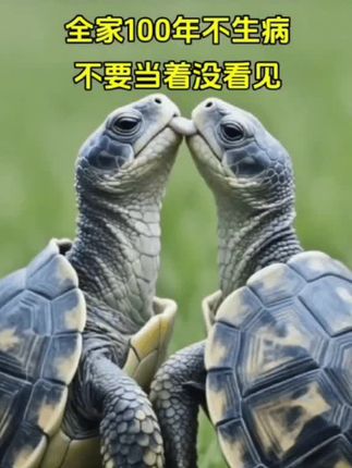 我也拍一下,希望我们全家人都不生病,无病无灾,越来越好,越来越顺