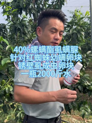 40%螺螨酯虱螨脲 针对红蜘蛛幼螨卵块 锈壁虱成虫卵块 一瓶2000斤水