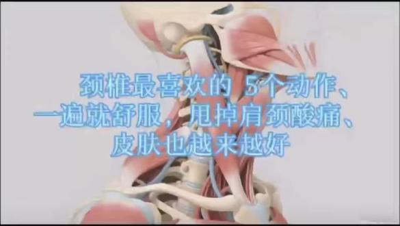 #康复疼痛 #康复理疗
低头一时爽,颈肩痛到慌
久坐打麻将,腰背硬邦邦
春节护痛小妙招,送你一套颈椎操!
健健康康过大年!
——参考《脊健康》