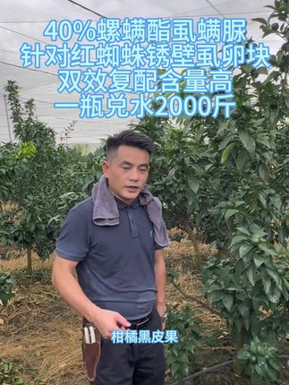 40%螺螨酯虱螨脲 针对红蜘蛛锈壁虱卵块 双效复配含量高 一瓶兑水2000斤