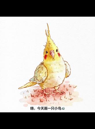想被一万个人喜欢,今天画的是小鸟#玄风鹦鹉 #跟着抖音学画画 #水彩 #治愈系 #一起学画画
