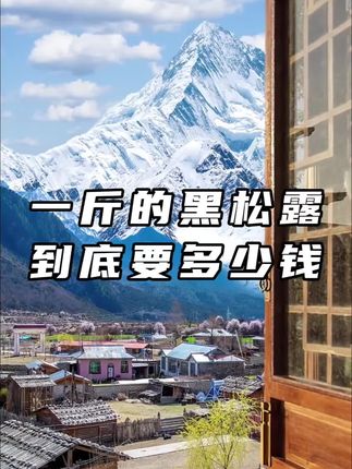 一斤黑松露多少钱?#黑松露 #松露