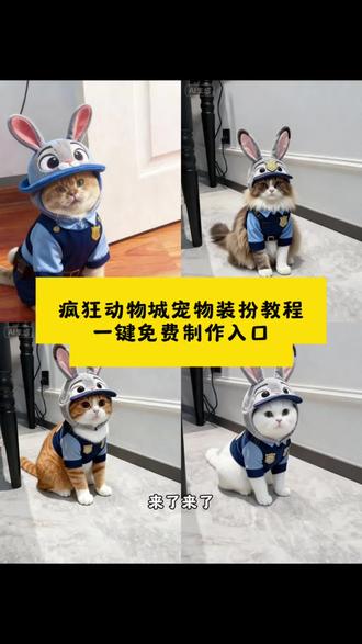 #即梦ai #疯狂动物城宠物装扮教程#疯狂动物城 疯狂动物城 宠物cos 朱迪警官 尼克狐 萌宠装扮 DIY教程 宠物服装 亲子互动 朋友圈拍照 警徽贴纸 兔子耳朵 狐狸尾巴 宠物配饰 动物城同款 猫咪装扮 狗狗装扮 手工制作 拍照技巧 轻量化材质 无毒胶水 疯狂动物城cp装 宠物角色扮演 正版cos服 限定装扮 蓝白外套 红色领带 黑色毛毡 迷你发箍 宠物挂件 浅色系背景 动画滤镜 文字贴纸 小型犬装扮 猫咪cos 百赞朋友圈 亲子cos 动物城明星 萌化朋友圈 5分钟DIY 痞帅造型 干练风#疯狂动物城宠物COS朱迪警官#宠物装扮衣服
