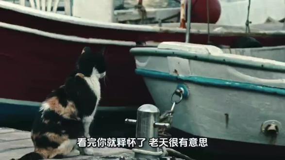 ##瞬间戳中泪点 #人生领悟道理 在码头的黄昏,一只猫静静趴在船边,仿佛在思考人生的意义。它的眼神里藏着故事,或许是在回忆过去的航海冒险,又或许是在计划下一次的出逃。猫咪与大海,简单的画面却充满了诗意和哲理。你是否也曾在某个瞬间,像这只猫一样,停下脚步,思考生活的方向?#码头的猫#思考人生#诗意生活