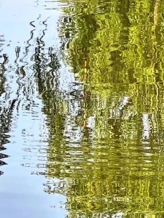 鲢鳙助吸泡沫球是不是智商税,聪明人一看就懂~#鲢鳙 #钓鲢鳙 #钓鲢鳙技巧 #鲢鳙饵料 #鲢鳙钓技钓法