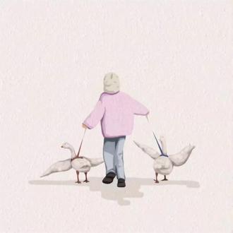 画一个宠物鹅#绘画故事 #我用画笔讲故事