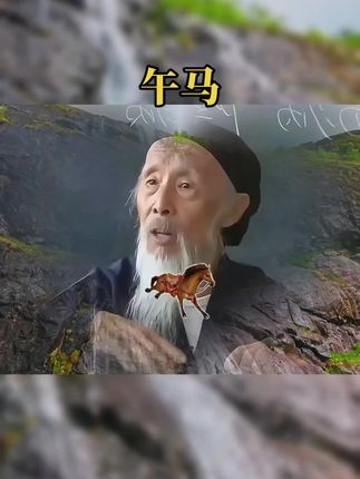 #78年的马 #90年的马 #66年的马 #生肖马 #属马