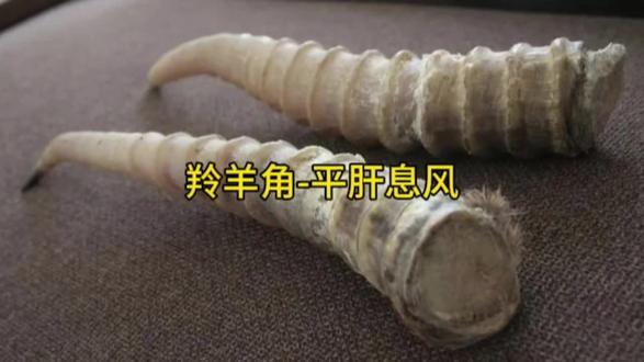 羚羊角被称为平肝息风第一贵药,能清肝明目、凉血解毒、镇惊止痉。
#羚羊角 #清肝明目 #镇惊止痉 #高热惊风