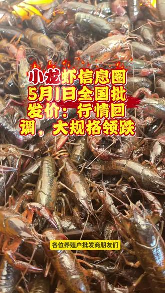 📢 小龙虾信息圈|5月1日 每日虾价(批发参考)
节后回调!大规格跌幅较大!
📉 炮头(小幅下跌):
· 外省:58元/斤(持平)
· 潜江:57元→55元(跌2元)
· 湖南:58元→54元(跌4元)
📉 大规格(跌幅较大):
· 6大青:20元→17元(跌3元)
· 678大青:26元→21元(跌5元)
· 789虾:35-36元→25-26元(跌10元!)
📉 中小规格(普遍下跌):
· 小青:10-11元→9-10元(跌1元)
· 中青:13-14元→11-12元(跌2-3元)
✅ 虾苗:荆州80-150尾稳定12元/斤
⚠ 节后常规回调,养殖户合理安排出塘节奏
#小龙虾价格 #今日虾价 #水产行情 #小龙虾信息圈