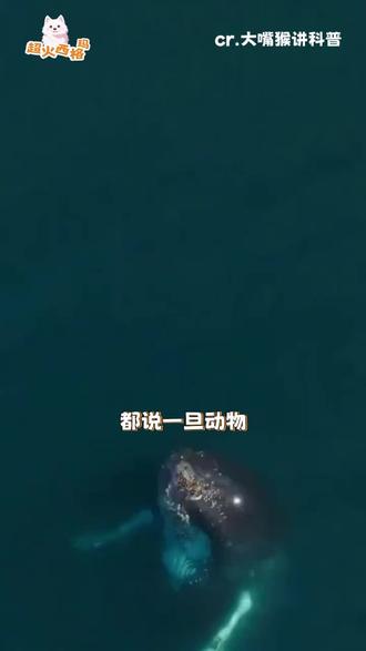 辽阔的大海,生不出狭隘的心!