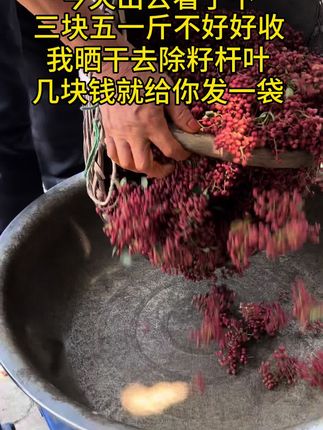 陕西大红袍花椒,农家晾晒,去籽去杆去叶净重发货,送花椒粉花椒叶#富平花椒2025新花椒#调味品#花椒