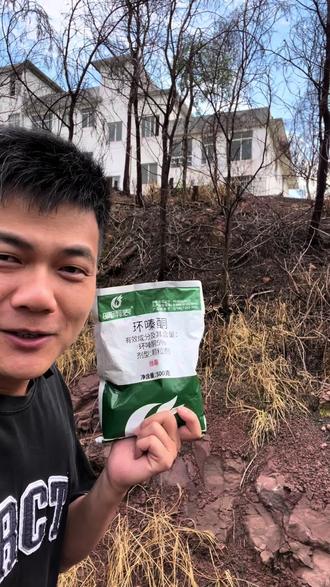为什么你们买的环嗪酮用了没效果?#环嗪酮 #环嗪酮除草剂 #环嗪酮省心省力一次解决 #环嗪酮如何辨别真假