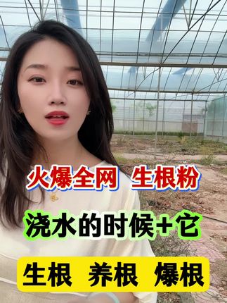 #农资#生根粉 火遍全网的生根粉,主根下扎毛细根爆发,持续生根
