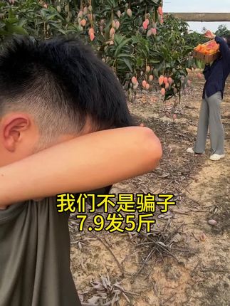 #贵妃芒