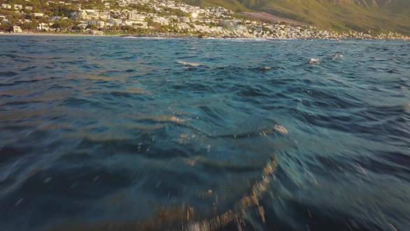 抖音神秘净化培养皿.