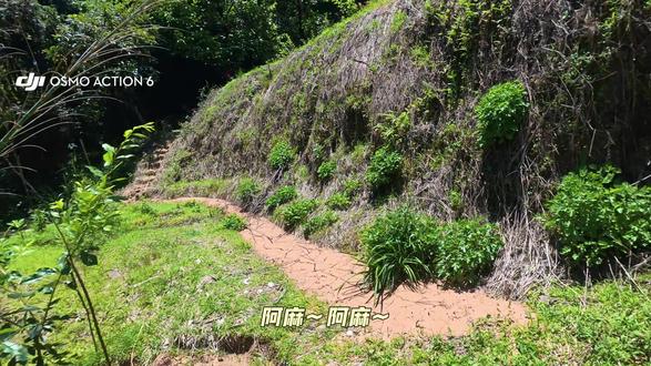 大家假期都在干嘛呀
#五一劳动节 #摘草莓