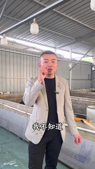这鱼在你们当地能卖多少一斤?小时候都经常见,有人说这个笋壳,这可不是笋壳,这鱼本名叫做河川沙塘鳢,学名虎头鲨,呆子鱼,土憨巴,学名太多了,在你们当地叫什么?#沙塘鳢#虎头鲨#三农 #2026新农人计划 #淡水鱼