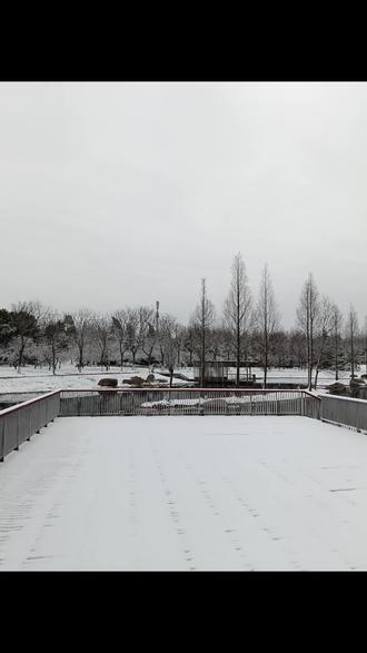 景美心情好,2026,天天都来财!