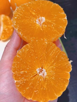 吃着像果冻一样细腻的爱媛果冻橙🍊!皮薄肉厚 清甜多汁 果香浓郁,还没有籽!直接吃或者吸着吃都巨好吃!#爱媛果冻橙 #橙子 #应季水果 #果冻橙 #爱媛38号果冻橙