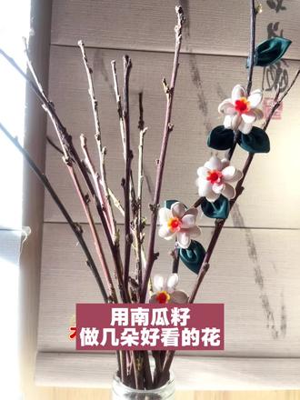 用南瓜籽做几朵好看的小花#手工 #享受生活每一天 #开心 #过年 #实体店