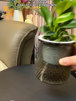 才花不到十块钱,真是挖到宝了!!建议在家里养几盆#金钻,也叫#绿公主 一年四季常绿还能开花,日常浇浇水就可以养的很好哦!!#爱生活爱养花