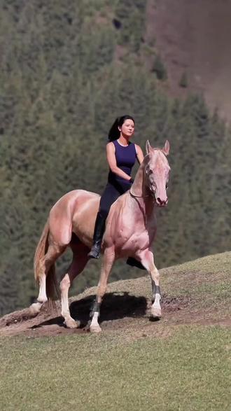 今年马年带你们认识几种马,也祝各位老板马到成功#科普 #动物科普 #骑马 #马 #上热搜