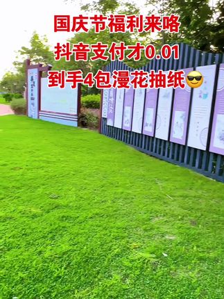 #抽纸 #漫花抽纸 #生活用纸 #超便宜超划算 #超划算超便宜 0.01到手4包抽纸