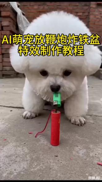 AI炮仗惊飞落顶盆特效免费制作教程#剪映#萌宠#AI#还有这种操作 #放鞭炮 小猫放炮仗炸铁盆 小狗放炮炸铁盆
小狗放炮放炮仗。 拜年视频。 炸狗盆搞笑视频。 AI炮仗惊飞落顶盆特效。 AI宠物生成视频。
AI猫咪放炮。 AI猫咪放炮仗惊飞落顶盆。 猫咪放炮仗。 放炮搞笑瞬间。 放炮炸出一个小可爱。 AI一键生成入口。 猫咪。萌宠。 狗 人物。 小孩。