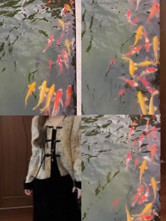 #外套#连衣裙#秋季穿搭#女装#穿搭