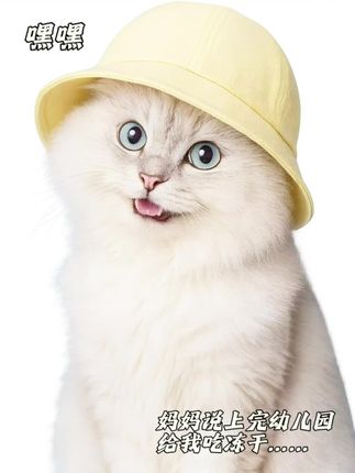 专治挑嘴咪