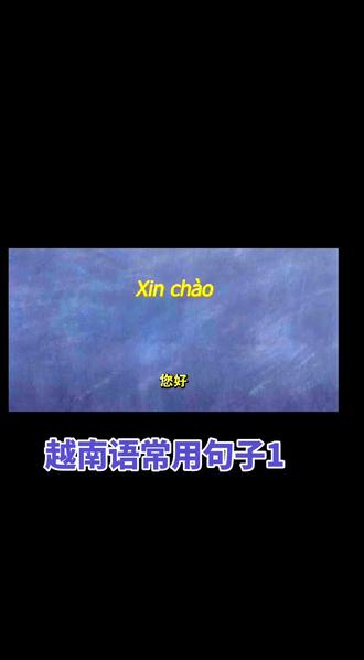 越南语常用句子1#越南#越南语#基础越南语#初级越南语学习#每天学习一点点