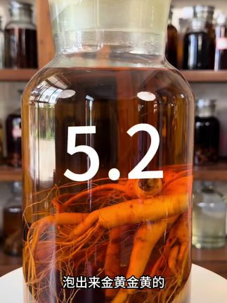 用这个人参泡酒可漂亮了#每日分享 #泡酒