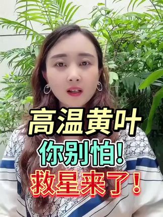 #三农 #农业种植 #增产增收
