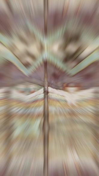 追星女:豌豆公主 我好像真的能理解你了#豌豆公主 #追星女